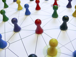 AC MILANSPORTS-中国篮球教练员专业能力提升路径，篮球教练员的专业技能包括哪些方面