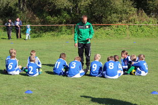 米兰体育入口-中国篮球教练员团队协作能力培养与管理实践，篮球教练员在团队中扮演了哪些角色